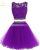 Bealegantom 2021 Black Two Piece Tulle Short Graduation Homecoming Dresses For Juniors - Tania's Online Closet, LLC