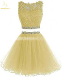 Bealegantom 2021 Black Two Piece Tulle Short Graduation Homecoming Dresses For Juniors - Tania's Online Closet, LLC
