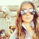 Fashion Classic Women/ Men Brand Designer Driving Mirror 2019 NEW Sun Glasses - Tania's Online Closet, LLC