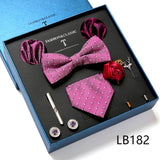 Necktie set for Men Silk Butterfly Tie Hanky Cufflinks Cufflinks Tie Clips and Lapel Pin Sets - Tania's Online Closet, LLC