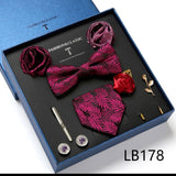 Necktie set for Men Silk Butterfly Tie Hanky Cufflinks Cufflinks Tie Clips and Lapel Pin Sets - Tania's Online Closet, LLC