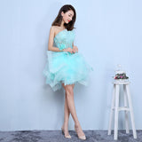 Quinceanera Dresses 2020  Strapless Ball Gown - Tania's Online Closet, LLC