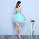 Quinceanera Dresses 2020  Strapless Ball Gown - Tania's Online Closet, LLC