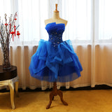 Quinceanera Dresses 2020  Strapless Ball Gown - Tania's Online Closet, LLC