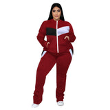 Stretch Tracksuit Plus Size Women Clothing Two Piece Set - Tania's Online Closet, LLC