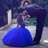 Cinderella Princess Costume for Girl Pageant Ball Gown - Tania's Online Closet, LLC