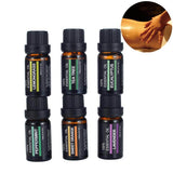 6Pcs/set 100% Pure Natural Aromatherapy Oils Kit 10ml - Tania's Online Closet, LLC