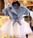 Mother Daughter Dresses Summer Short Sleeved denim Clothing - Tania's Online Closet, LLC