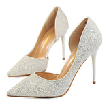 Sexy High Heels Pointed Toe Stiletto Glitter Heels- Wedding Shoes Bride Designer Heels - Tania's Online Closet, LLC