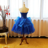 Quinceanera Dresses 2020  Strapless Ball Gown - Tania's Online Closet, LLC