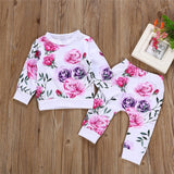 kid autumn suit Clothes Floral full sleeve O-Neck T shirt Tops+Pants 2PCS Outfits - Tania's Online Closet, LLC