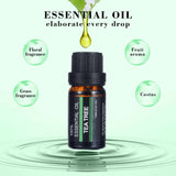 100% Pure Natural Aromatherapy Essential Oil Set 6Pcs - Tania's Online Closet, LLC